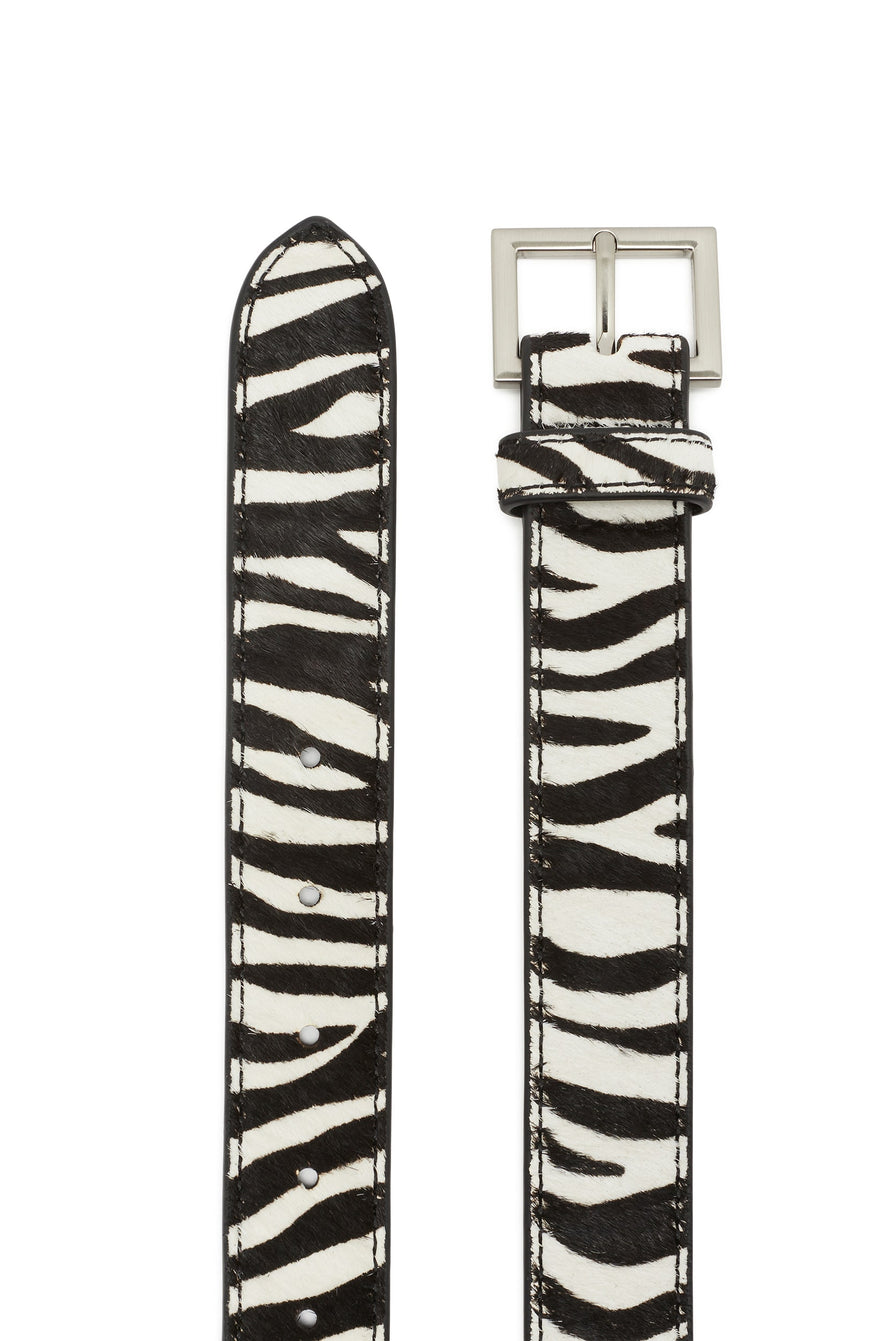 THE DUKE ZEBRA BELT | GHOST